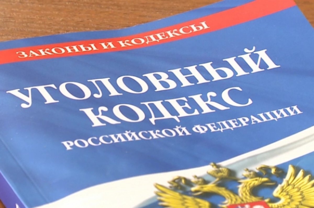 В Нижнеломовском районе «подставной директор» осуждён за кражу и угон |  АиФ-Пенза | Дзен