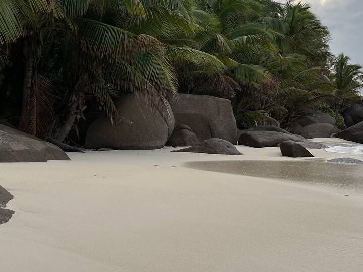 Какой остров выбрать на Сейшелах?