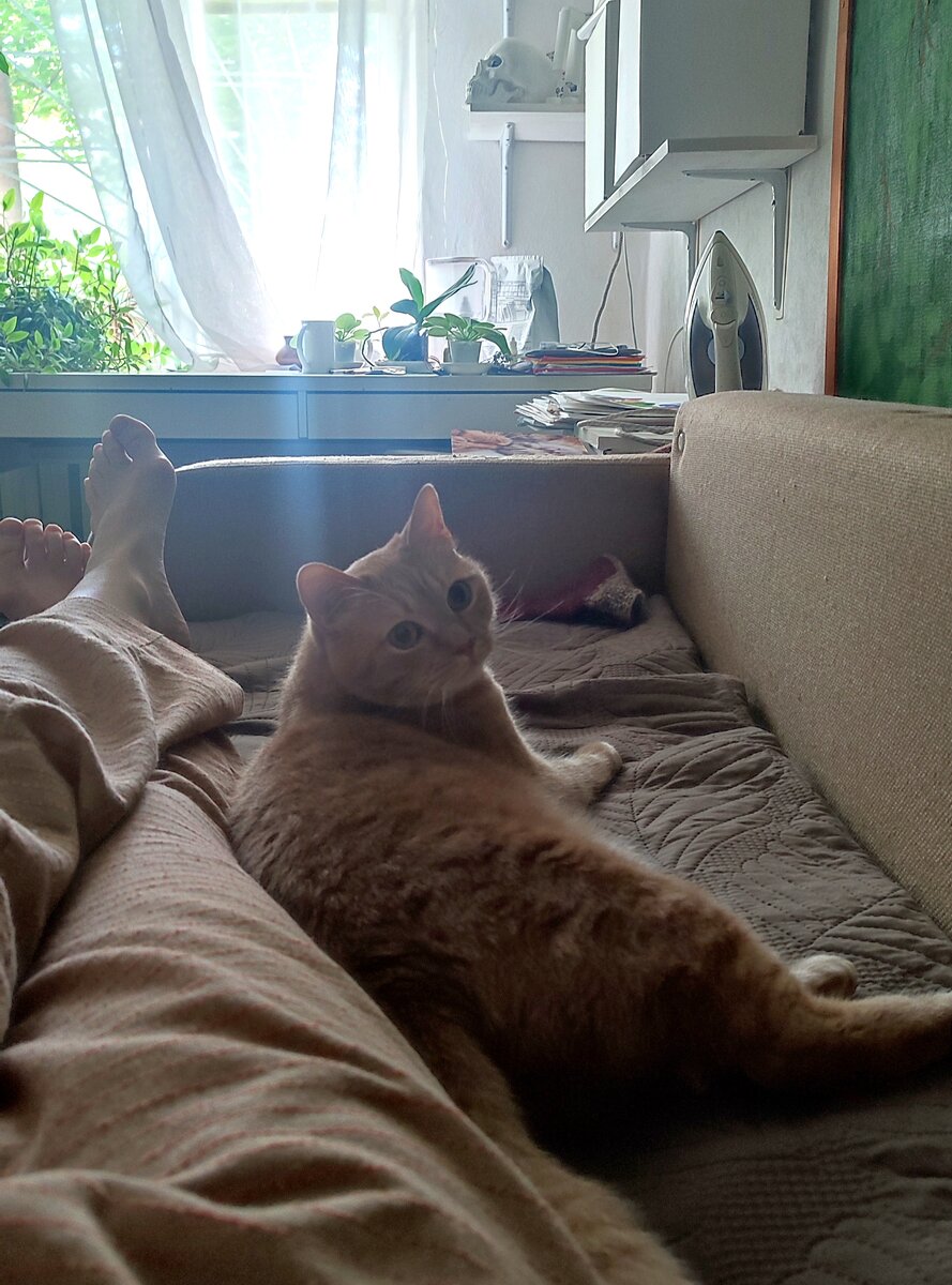 Какой невинный взгляд