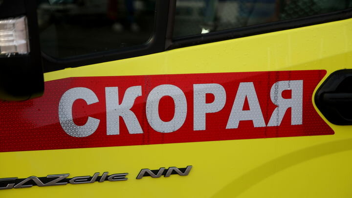 ФОТО: © MAKSIM KONSTANTINOV/GLOBALLOOKPRESS