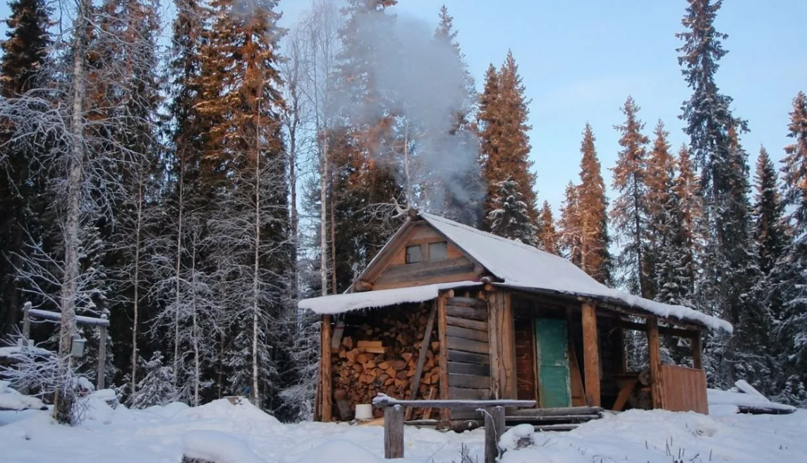 Яндекс картинки