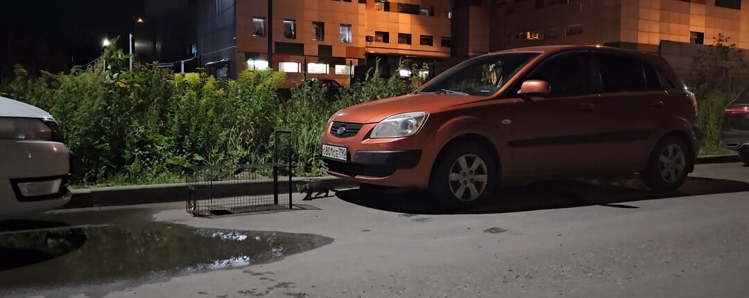 Фото автора. Страшно, но кушать хочется.