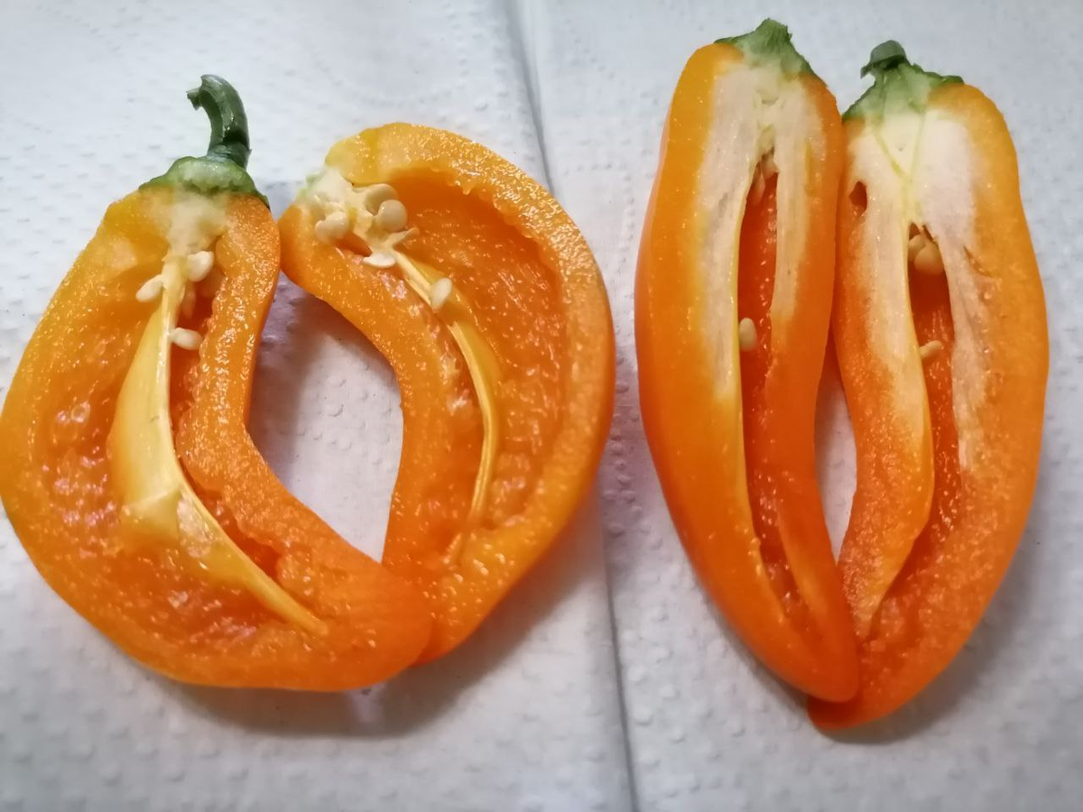 Сорта сладких перцев с мелкими плодами: Апельсин, Лисичка и Вау!(вырастила, съела, сравнила)