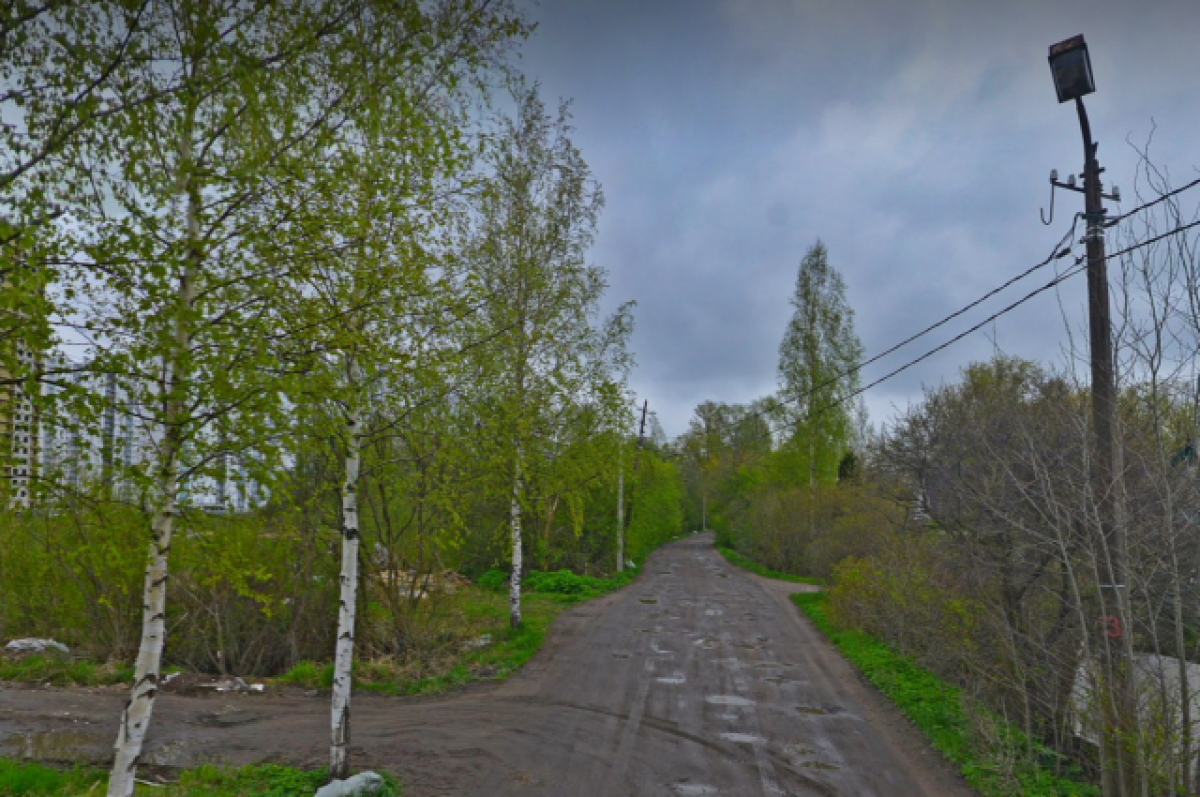    Рецидивист избил и изнасиловал петербурженку в лесополосе около Рыбацкого