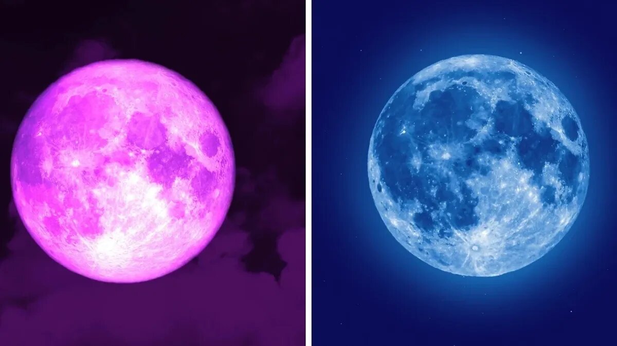 Фото: Claudiodivizia, Chayanan / Getty Images