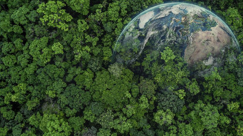   Gettyimages.ru AvigatorPhotographer