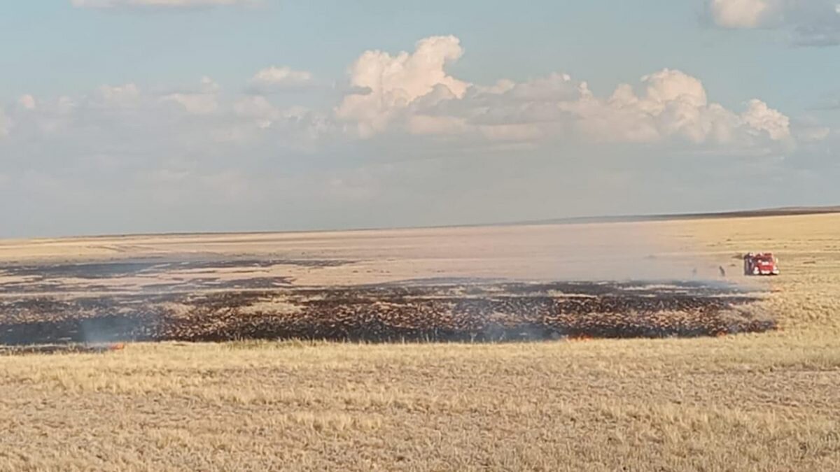    Фото: пресс-служба ДЧС Карагандинской области Август Макаров