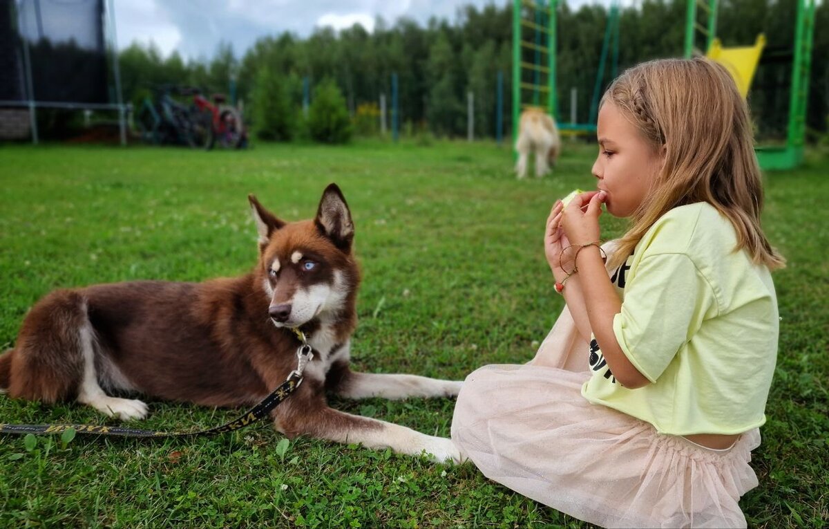 Дочка и Эклер