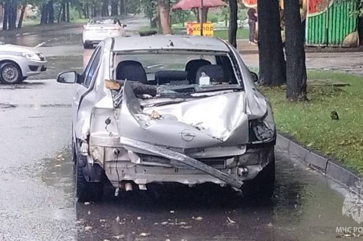    Спасатели Владикавказа помогли водителю машины, на которую упало дерево