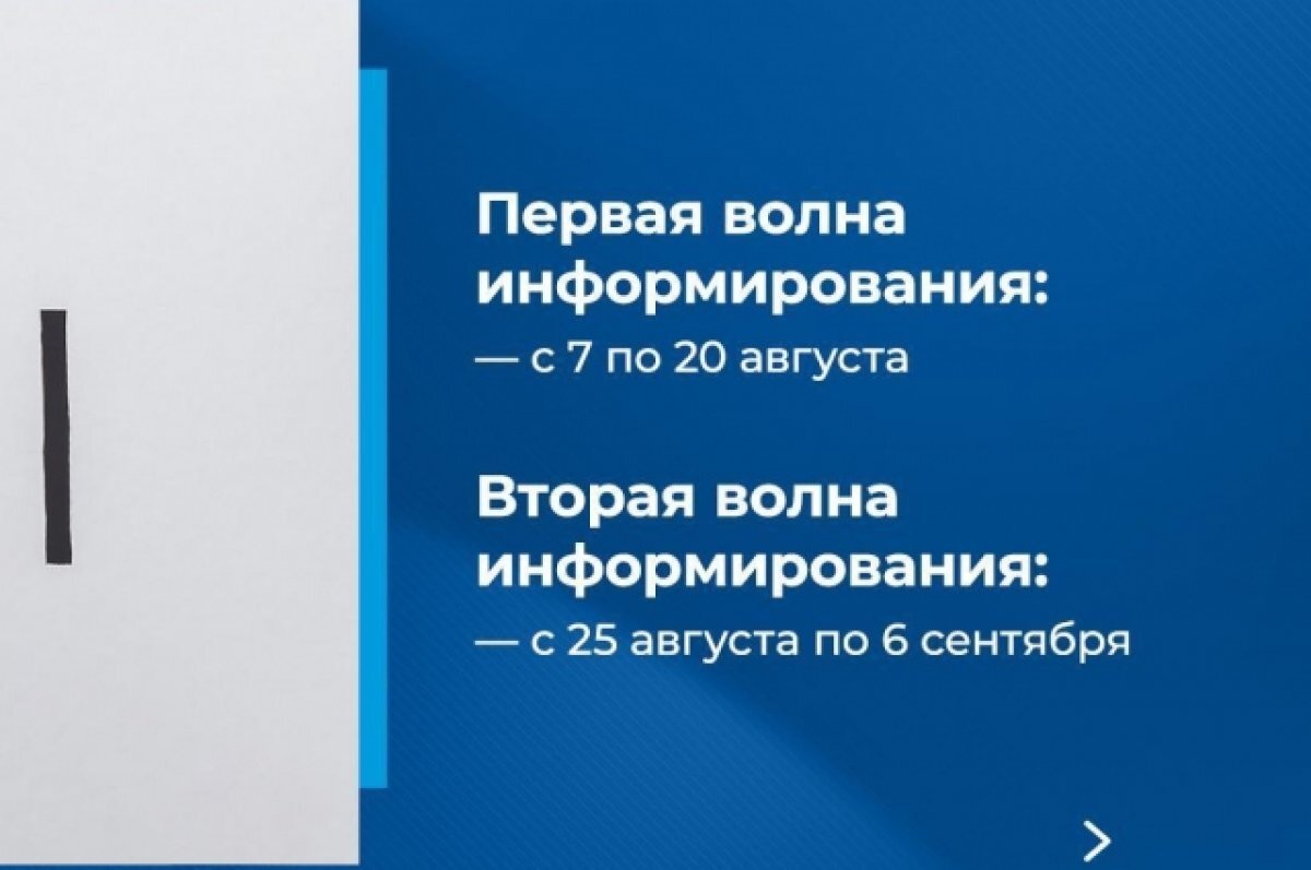    Поквартиный обход начнут члены избиркома Псковской области 7 августа