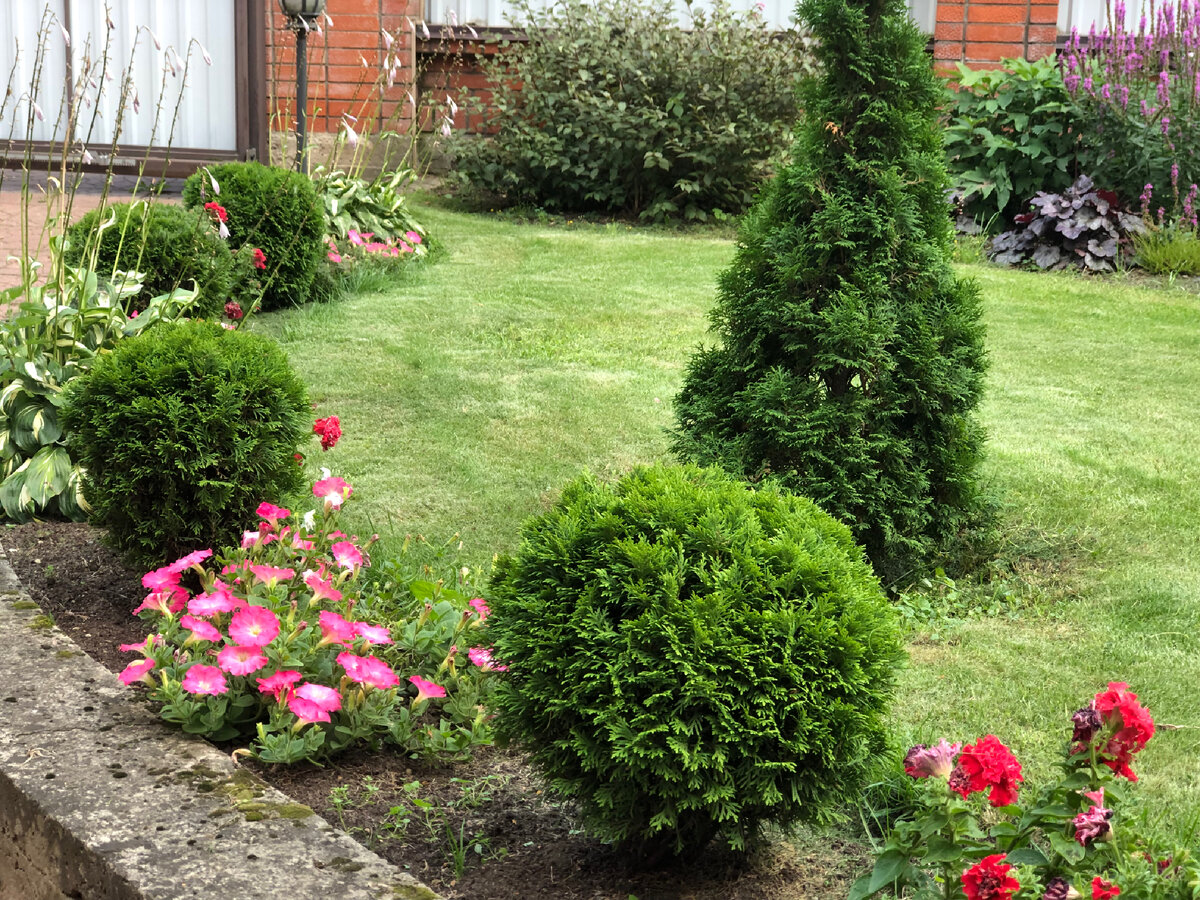 Фото из сада