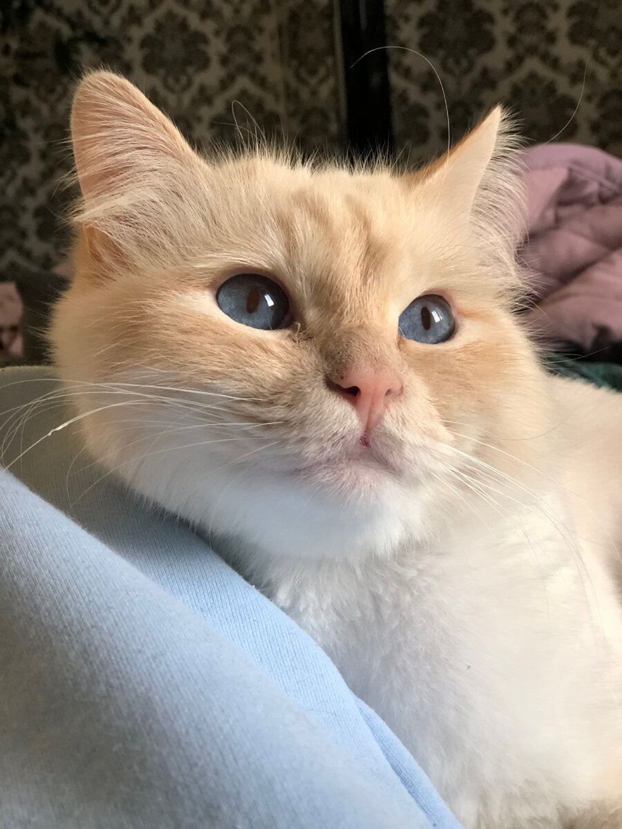 Фото из личного архива 