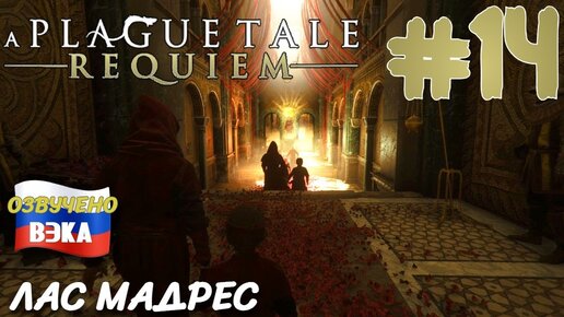 A Plague Tale Requiem ПРОХОЖДЕНИЕ С РУССКОЙ ОЗВУЧКОЙ Студия ВЭКА #14 ЛАС МАДРЕС