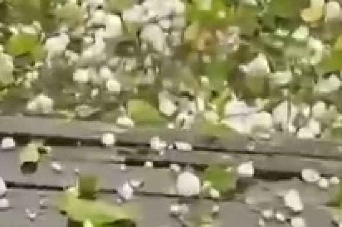    Крупный град обрушился на Апшеронский район Кубани