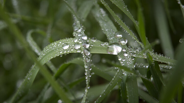 NIKOLAY GYNGAZOV/GLOBALLOOKPRESS