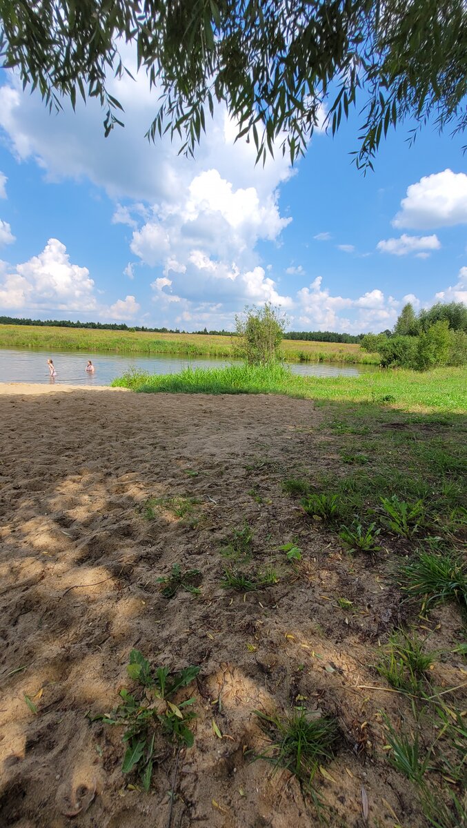 Я сижу в тени. Хорошо он есть на нашем дачном пруду.