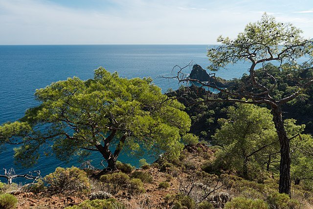 Вид с Ликийской дороги на море возле Чиралы. Фото из свободных источников в Интернете.