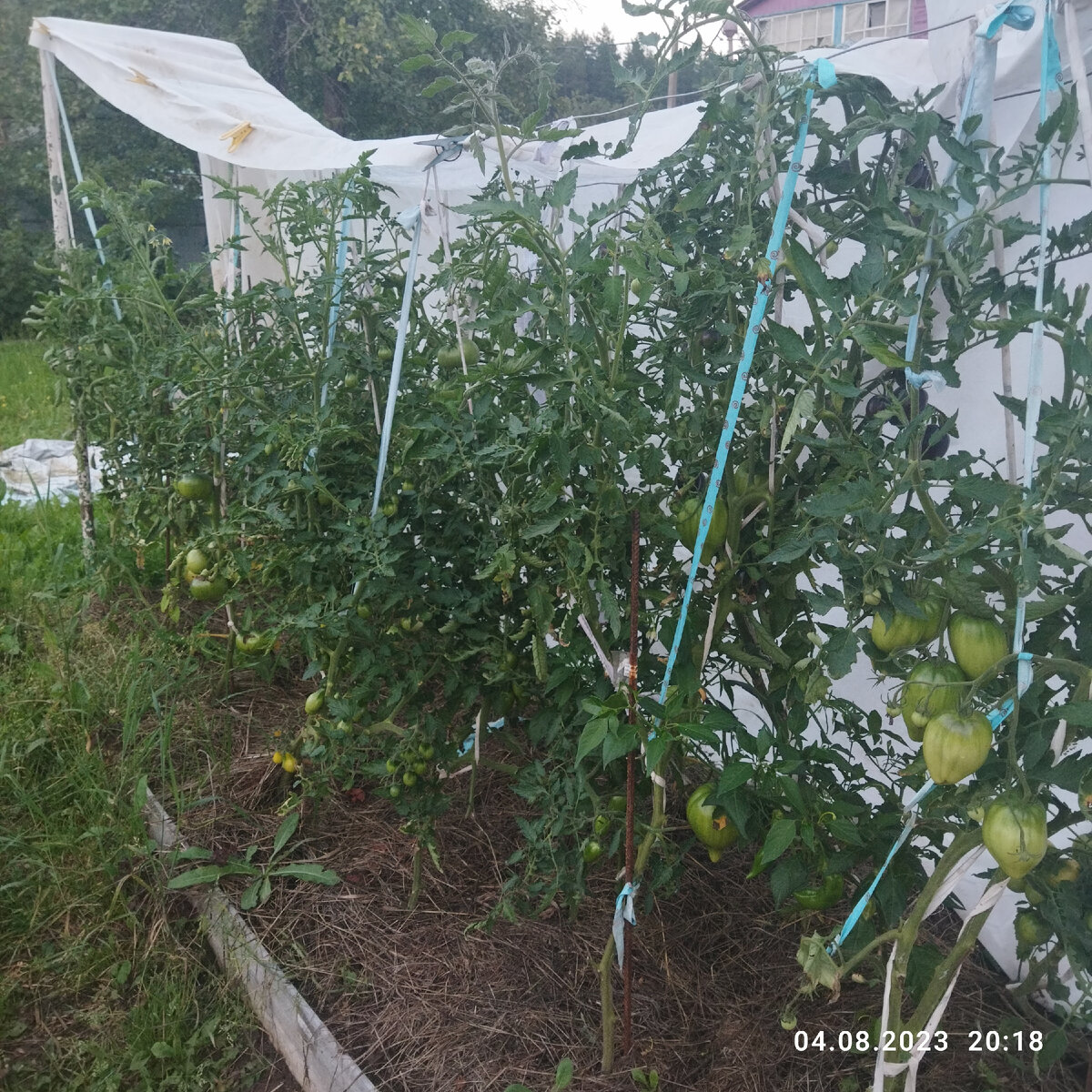 Индеты на улице