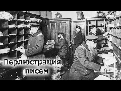 Коллеги из России