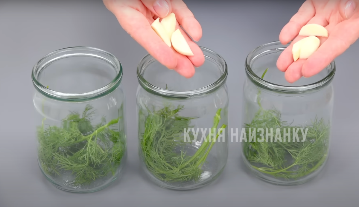 Кухня наизнанку монетки огурцы на зиму рецепт. Монетка огурцы маринованные. Что можно сделать в маленькой баночке