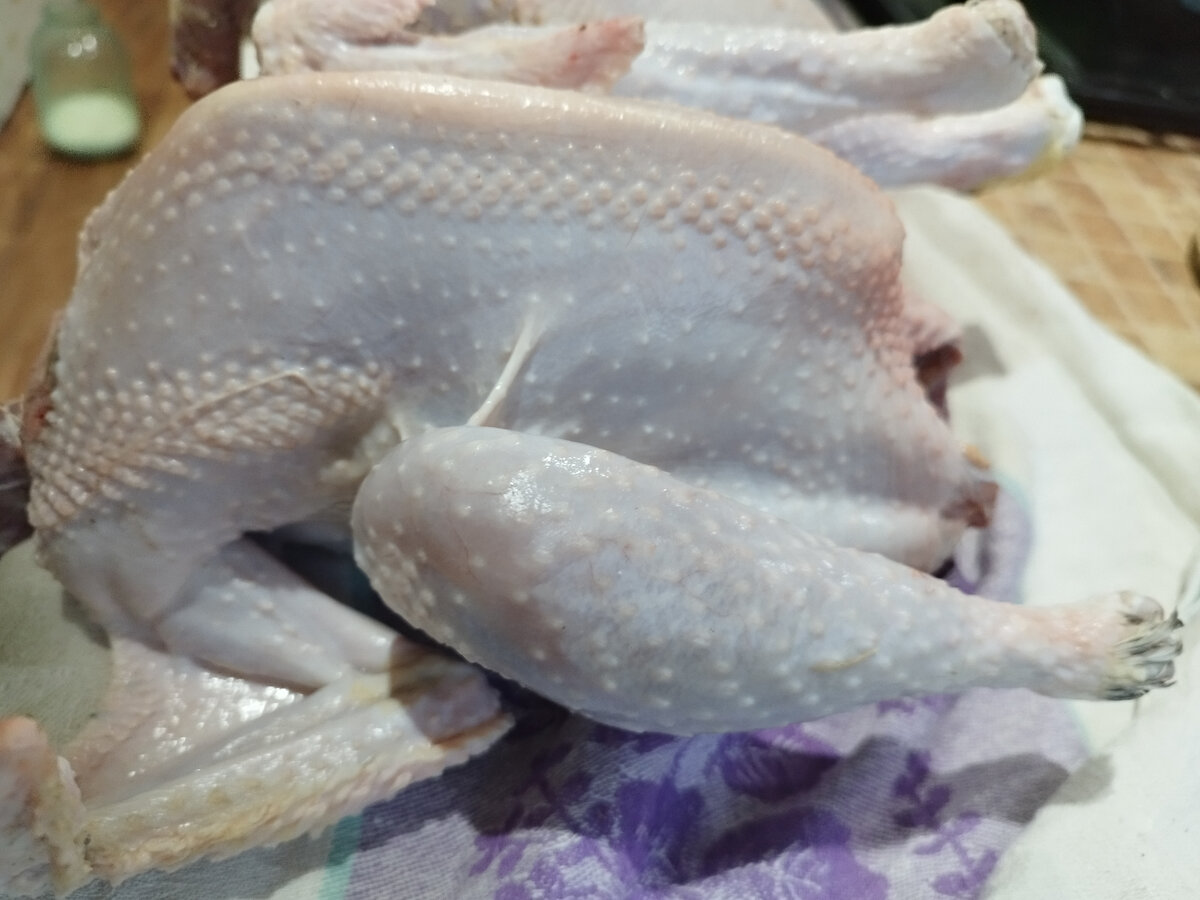 Домашний петух