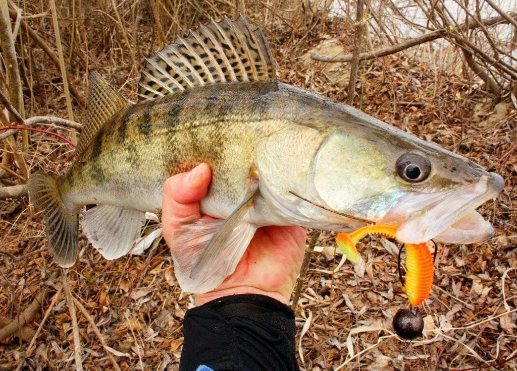 календарь клёва щуки на 2021.