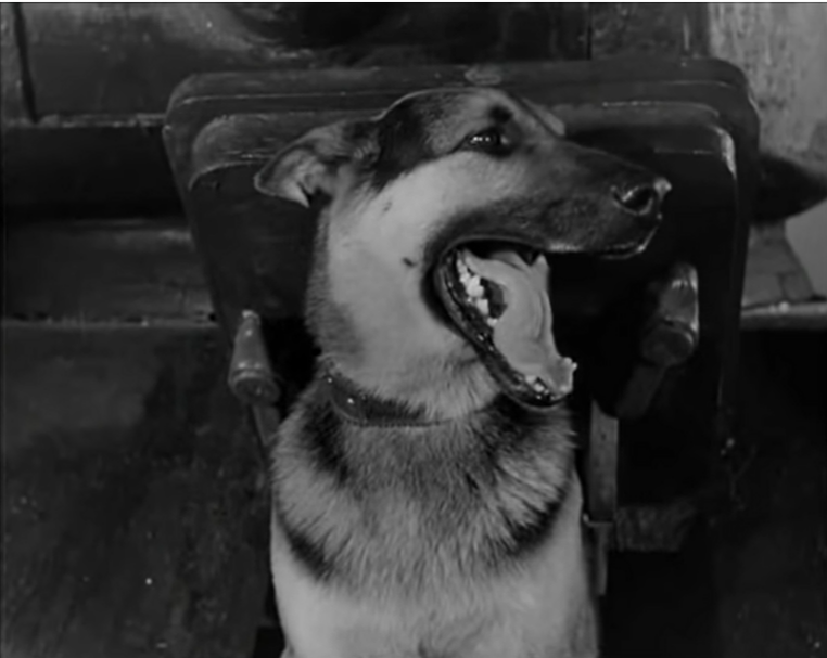 Скриншот кадра сериала. Источник – YouTube.