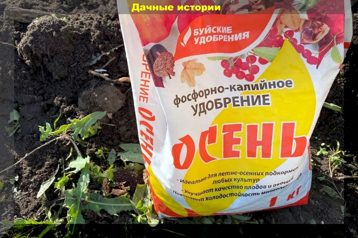 https://vk.com/photo-159774511_457261748