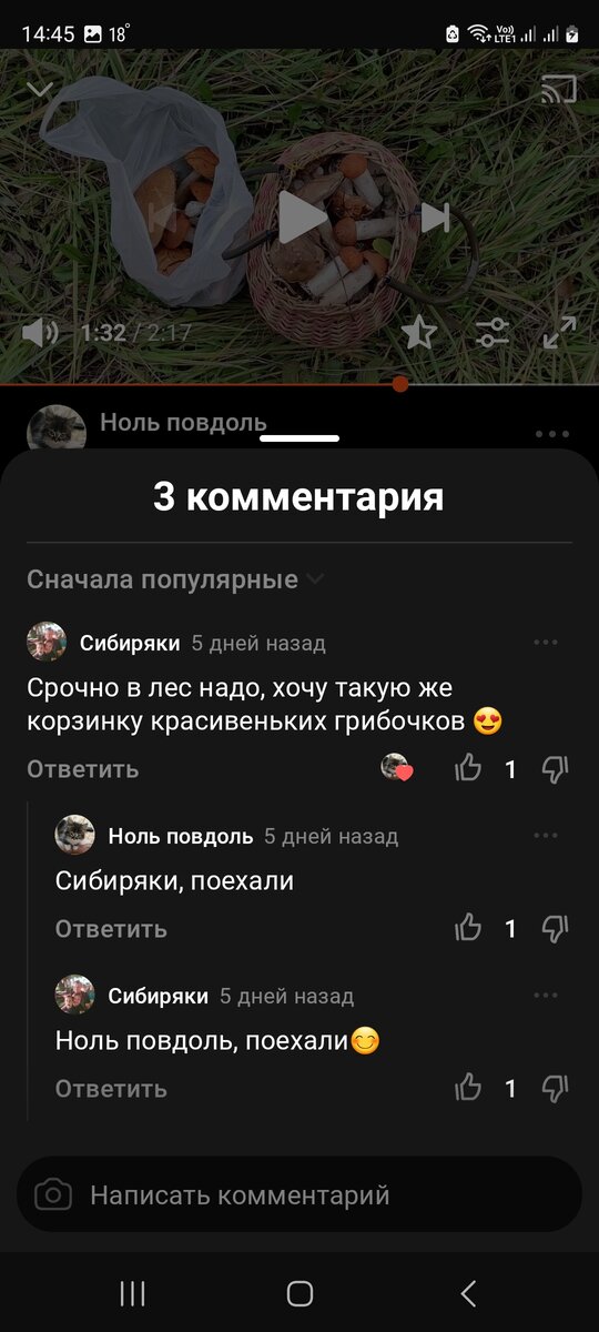 Наша переписка перед поездкой в Дзен:)