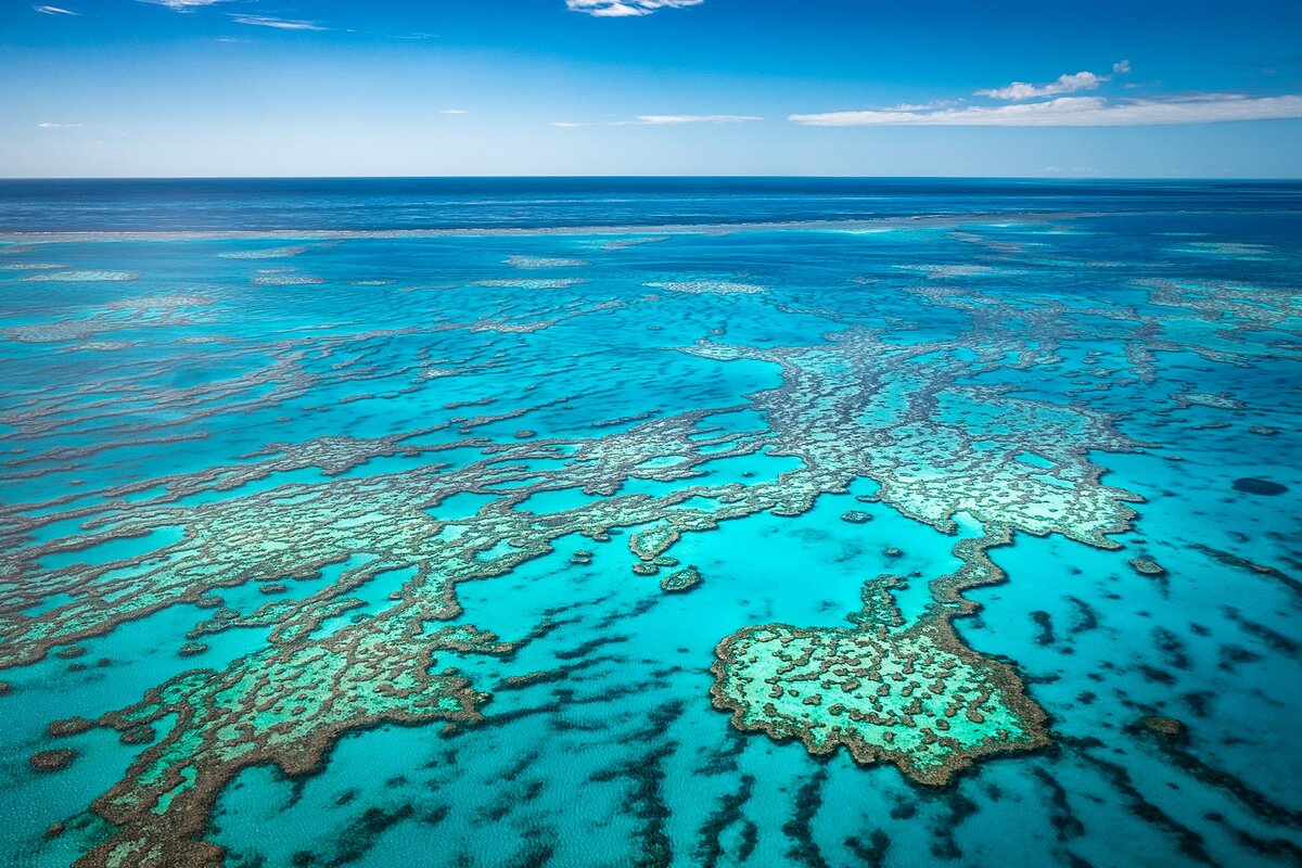 Стоки материков. Большой Барьерный риф. Великий Барьерный риф Австралия. Большой коралловый риф в Австралии. Коралловый Барьерный риф в Австралии.