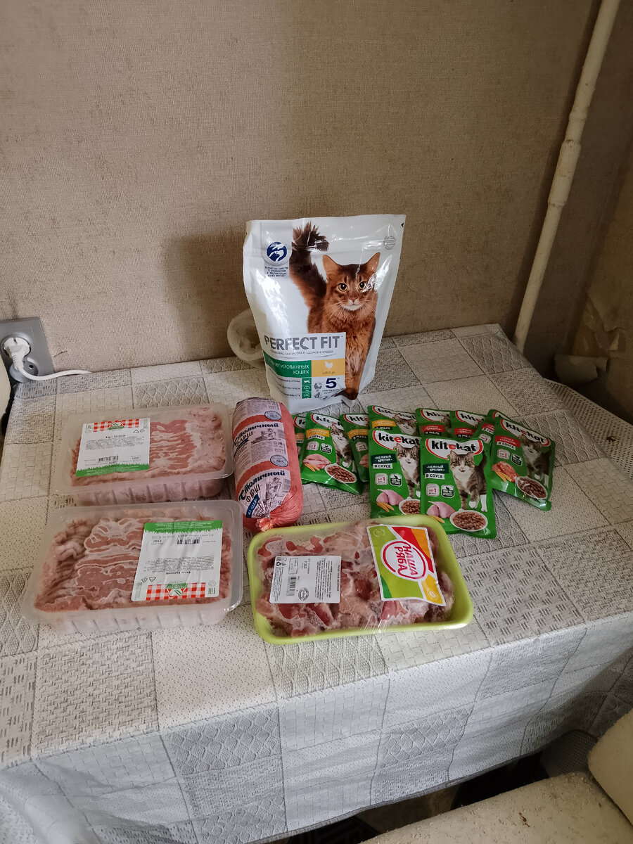 Гостиницы нашим хвостикам☺