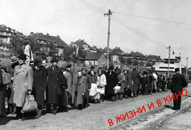 Интернированные судетские немцы, май 1945 г. Общественное достояние