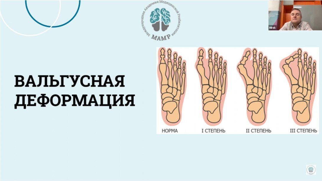 Рис. 1