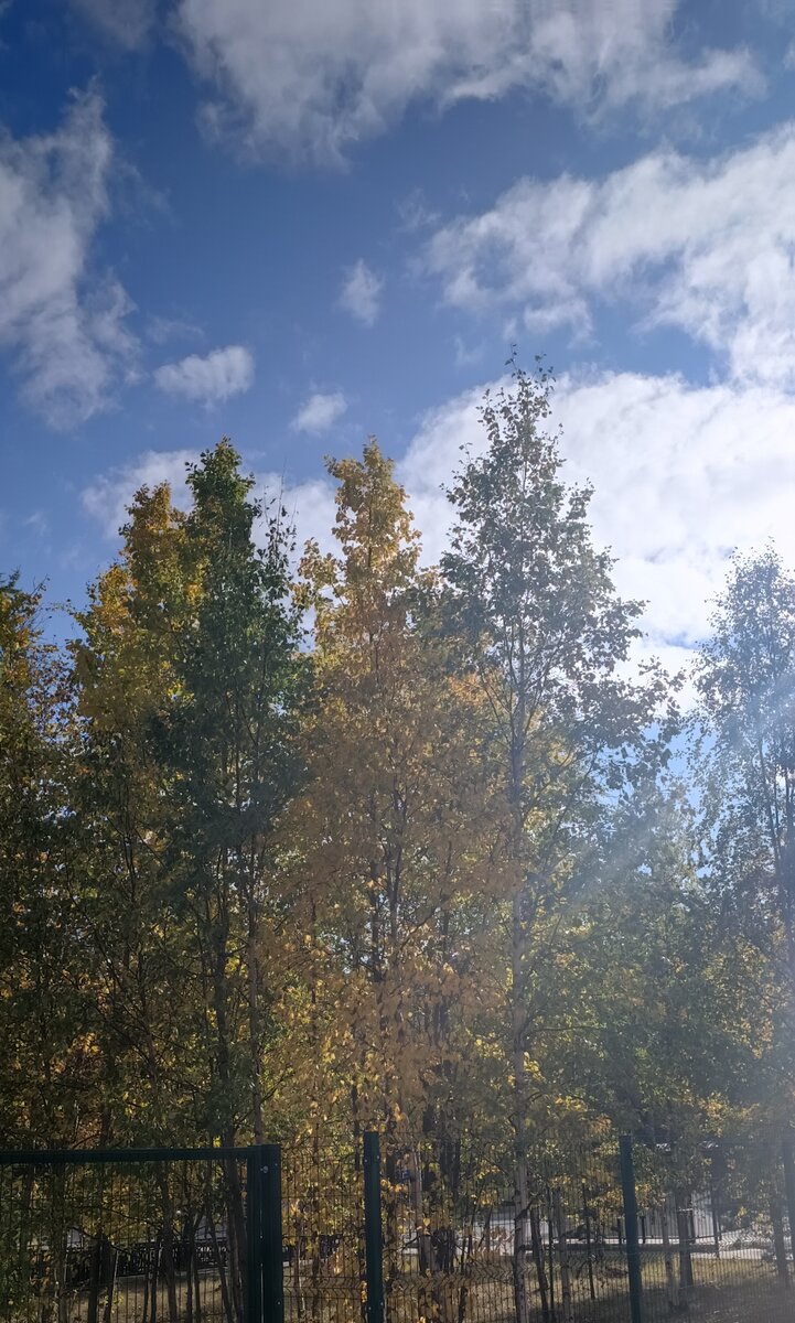 Картинка автора-осень.