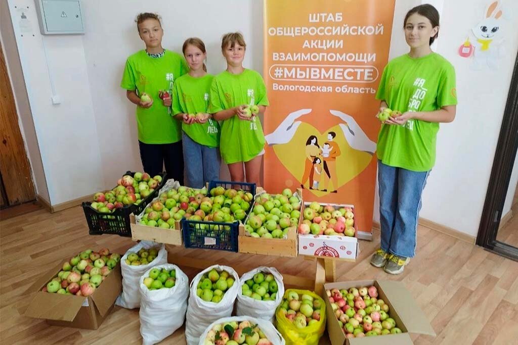   Об этом сегодня сообщил заместитель губернатора Евгений Богомазов. В регионе завершилась акция "Яблочный Спас"