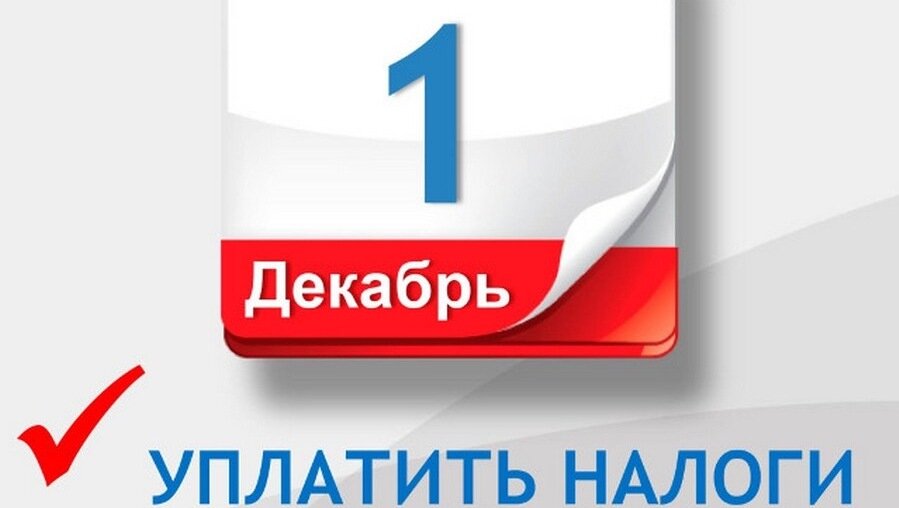     До 1 декабря владельцам машин, мотоциклов и яхт нужно оплатить налог на транспортное средство. Пока граждане получают оповещение как и раньше — в виде бумажных квитанций. Но уже со следующего года узнавать о нем будут только через Госуслуги. Есть и еще другие новшества, о которых нужно знать.