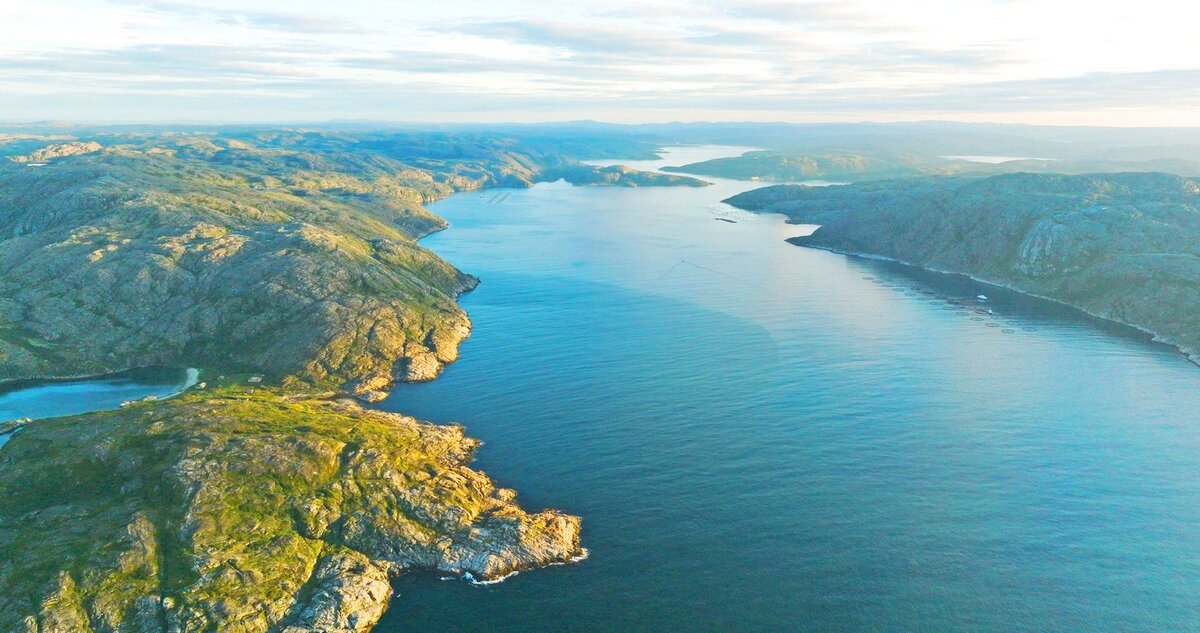 Район Лиинахамари. Фото: Инсталлтехно