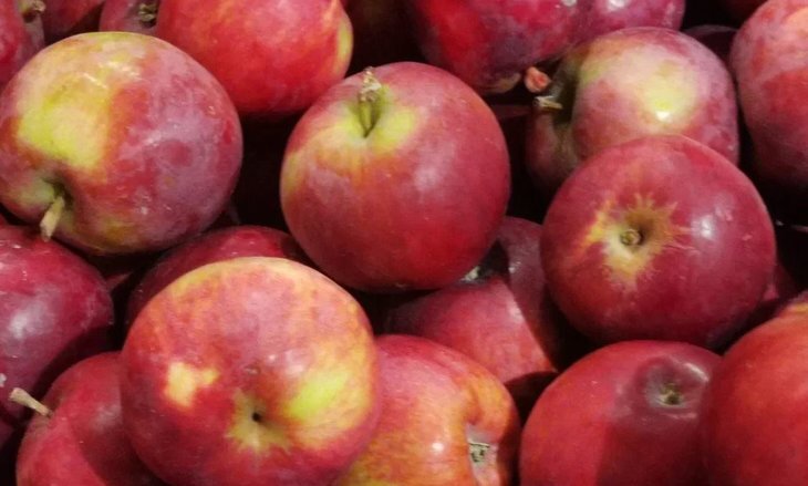    Российское садоводство заботится о здоровье потребителей