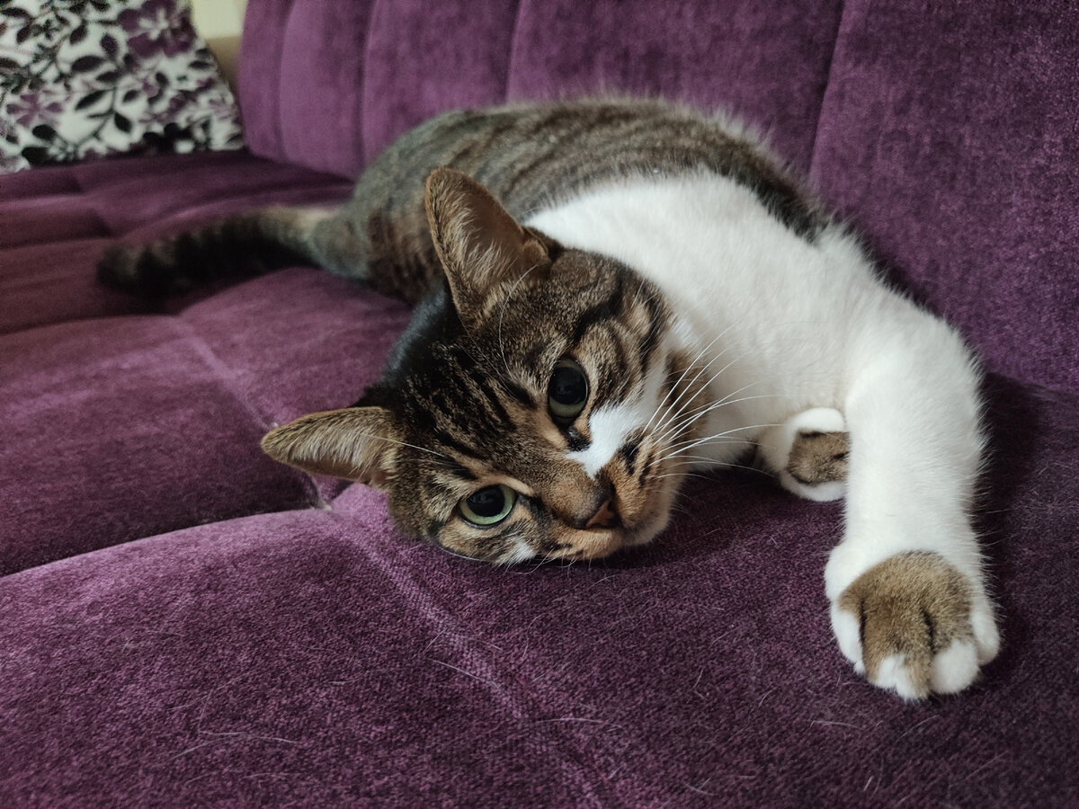 А это опять Мюжгян, потому что красоты много не бывает.