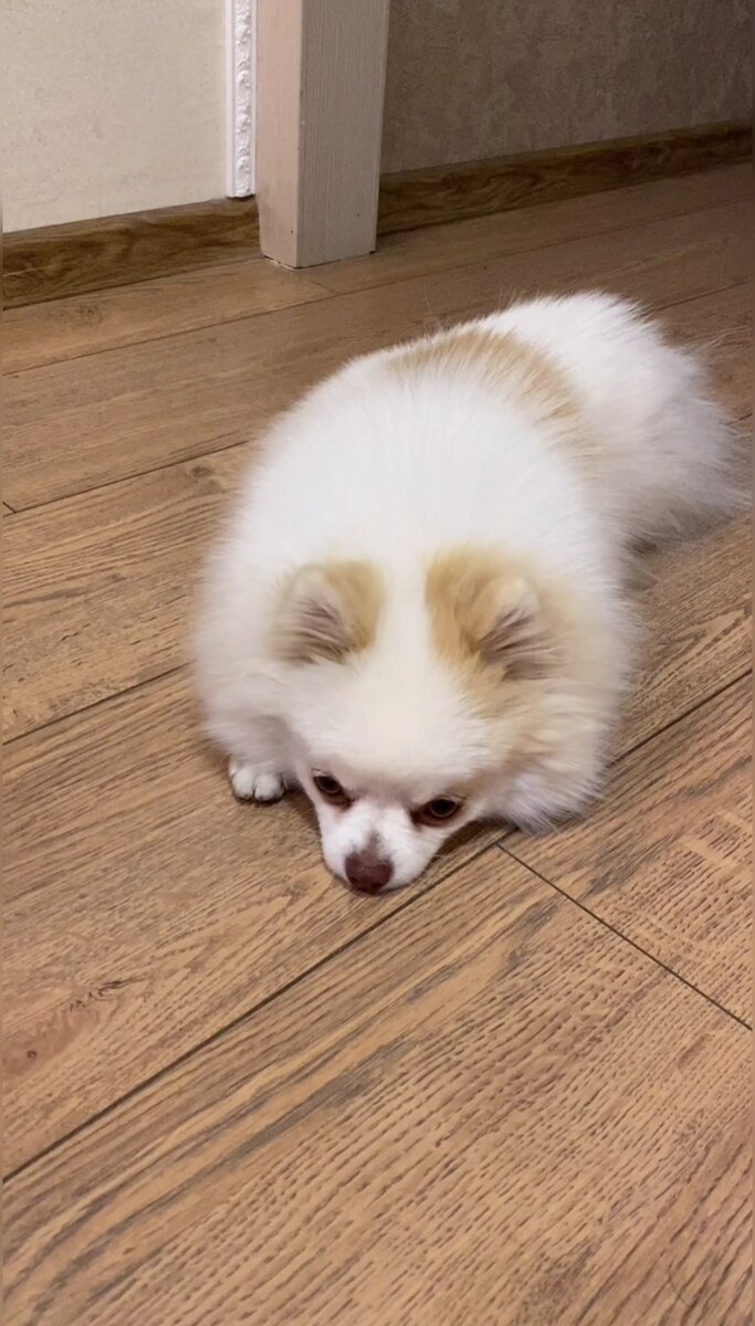 Задумаешься тут