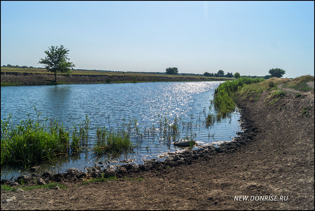 Вроде бы ерик...