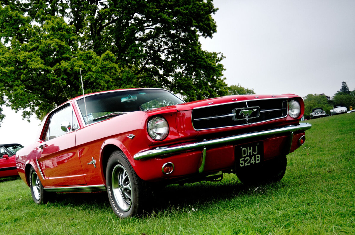 Форд Мустанг 1964 купе / фото: mavink.com