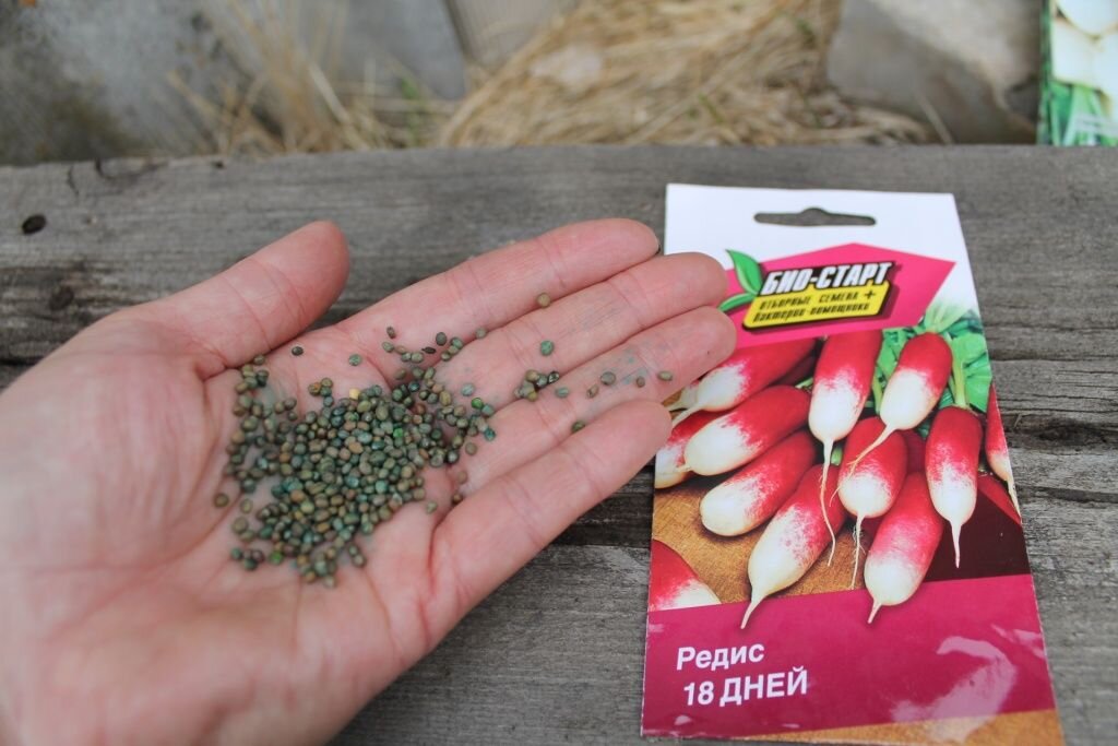 Семена ваше хозяйство био старт адрес магазина. Капуста кочаны семена лучшие сорта бордовая. Морковь лосиноостровская 13. Сорта моркови с маленькой сердцевиной. 24" огурец зозуля f1 партенокарпический раннеспелый.