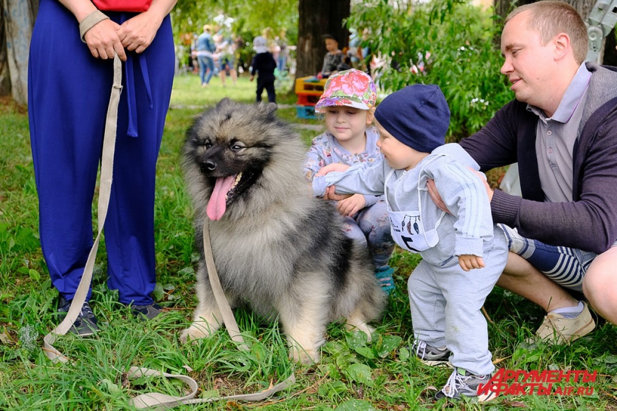    Соревнования по жарке шашлыка пройдут на «Пикник Фесте» в Томске 29 июля