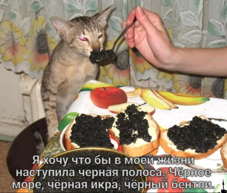 Праздновать будем картинки