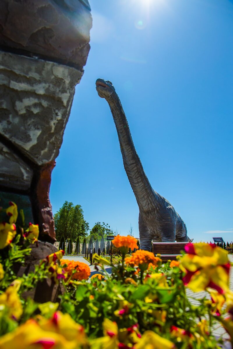    пресс-служба Янтарного комбината