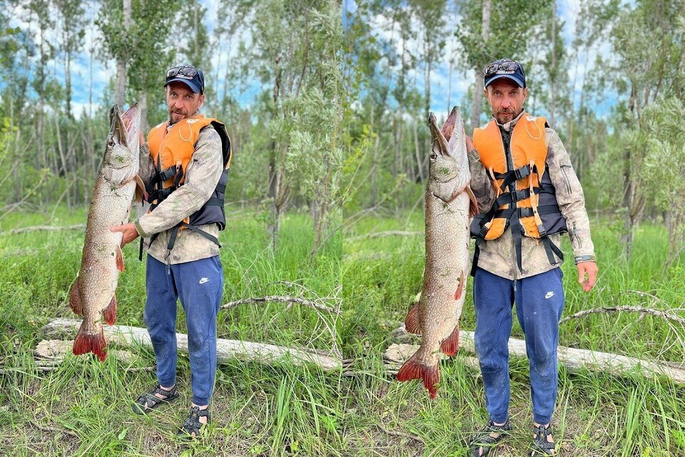 Поймали рыбу картинки