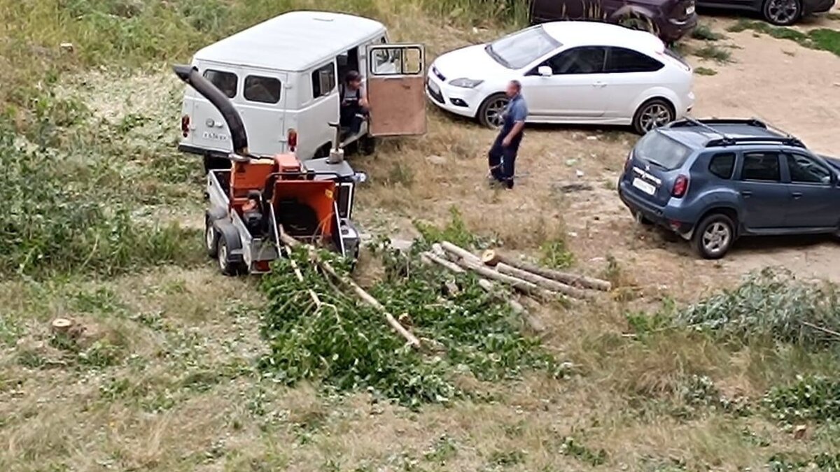     В жилом комплексе «Солнечный город» незаконно вырубили деревья. Об этом Inkazan сообщили читатели.