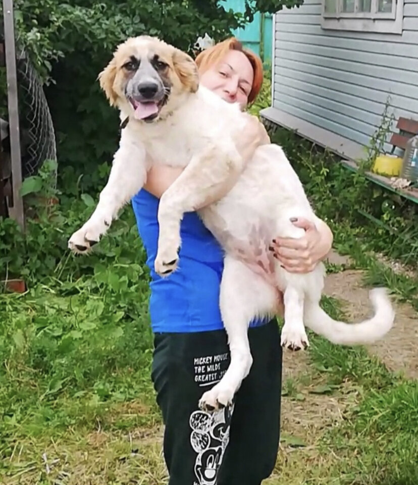 Альфа обещает вырасти еще больше, чем Ириска❤️