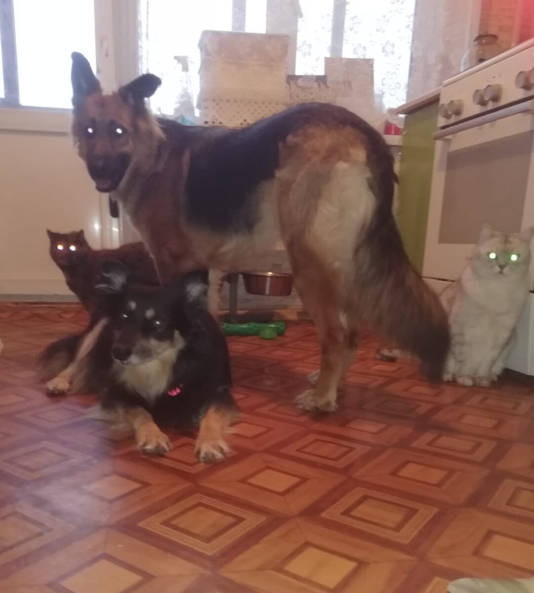 Семейный подряд ❤️